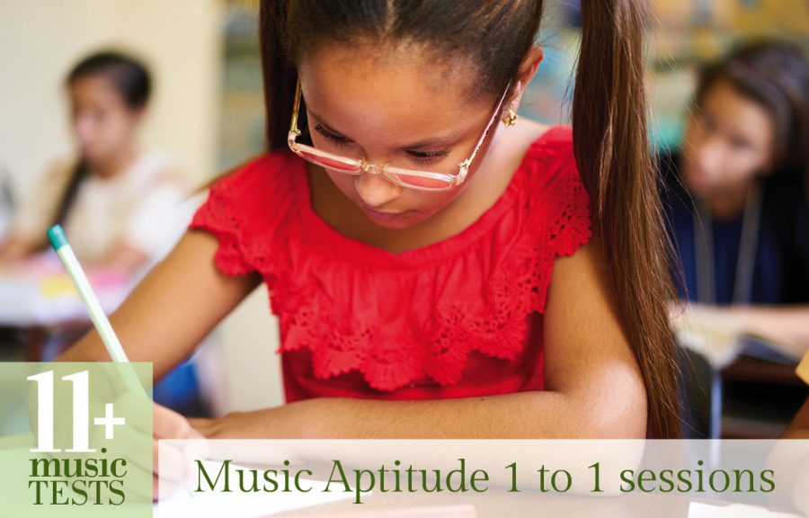 Watford, South West Herts Music Aptitude 1 to 1 Sessions – 11 Plus Music Tests